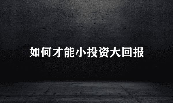 如何才能小投资大回报