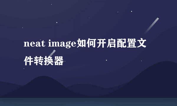 neat image如何开启配置文件转换器
