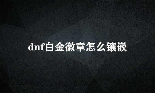 dnf白金徽章怎么镶嵌