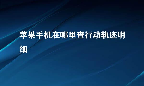 苹果手机在哪里查行动轨迹明细