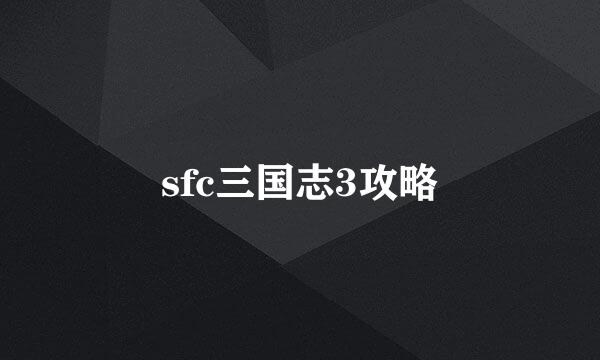 sfc三国志3攻略