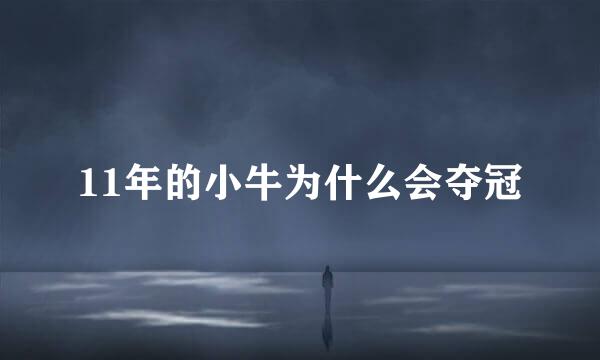 11年的小牛为什么会夺冠