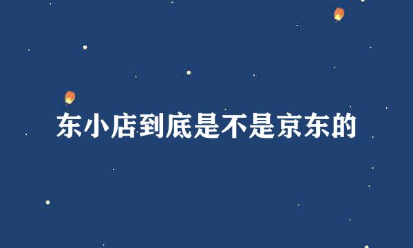 东小店到底是不是京东的