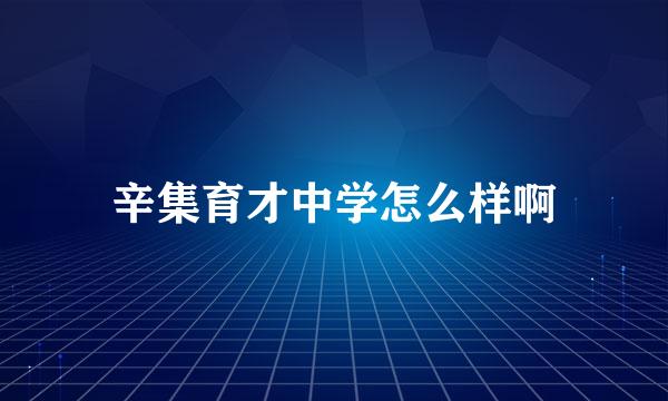 辛集育才中学怎么样啊