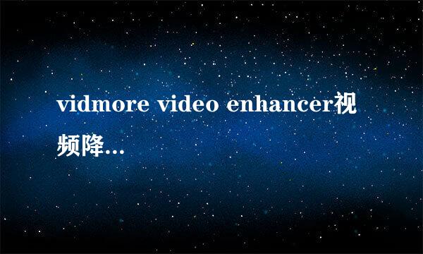 vidmore video enhancer视频降噪如何设置