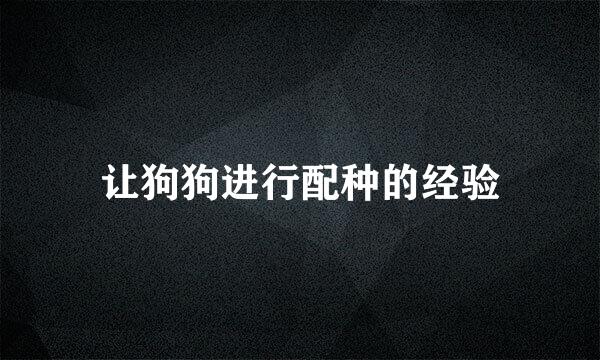让狗狗进行配种的经验
