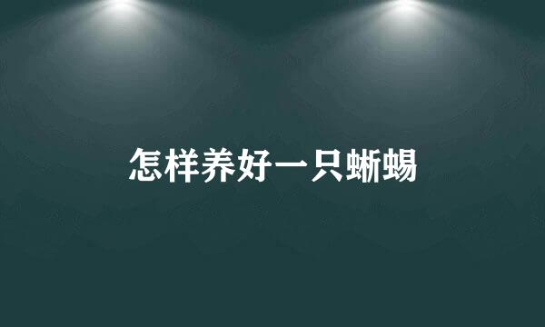 怎样养好一只蜥蜴
