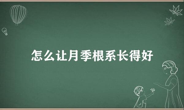 怎么让月季根系长得好