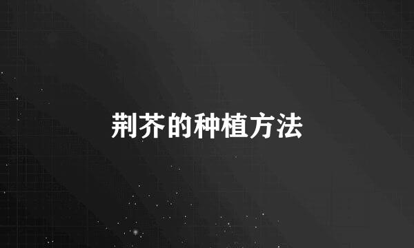 荆芥的种植方法