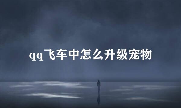 qq飞车中怎么升级宠物