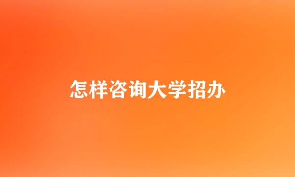 怎样咨询大学招办