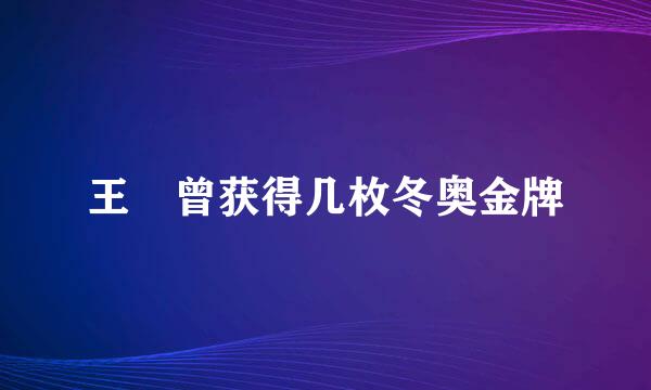 王濛曾获得几枚冬奥金牌