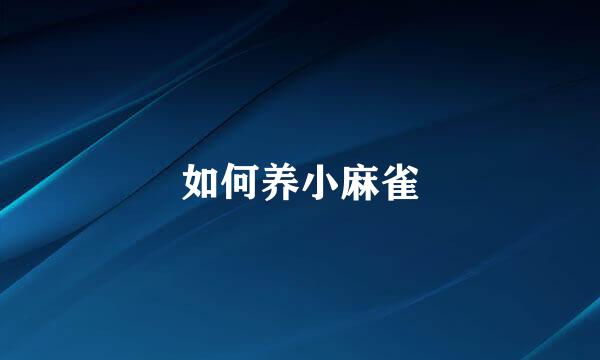 如何养小麻雀