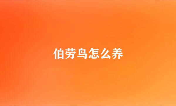 伯劳鸟怎么养