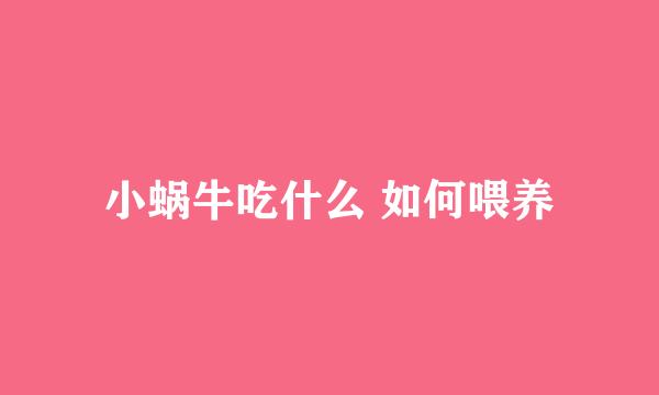 小蜗牛吃什么 如何喂养