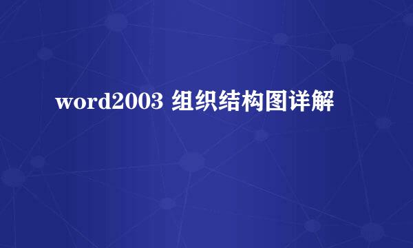word2003 组织结构图详解