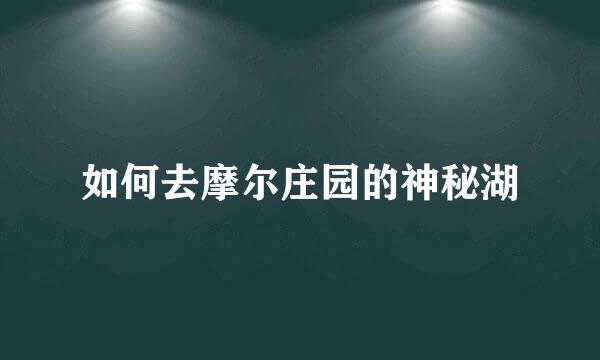 如何去摩尔庄园的神秘湖