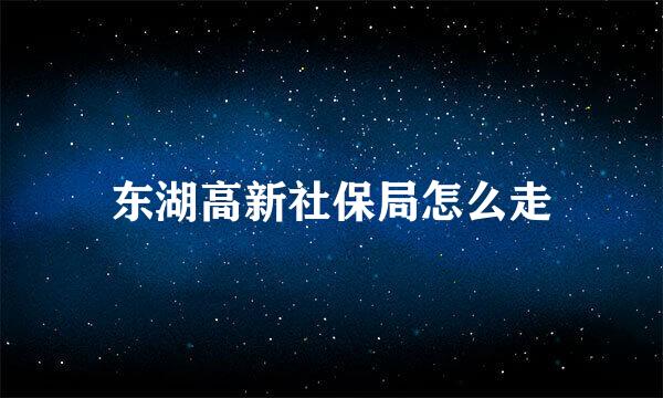 东湖高新社保局怎么走