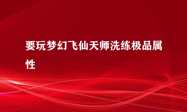 要玩梦幻飞仙天师洗练极品属性