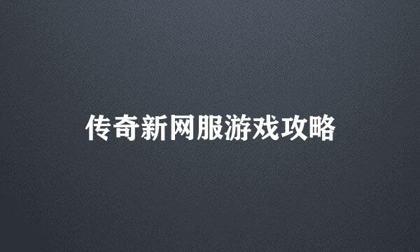 传奇新网服游戏攻略