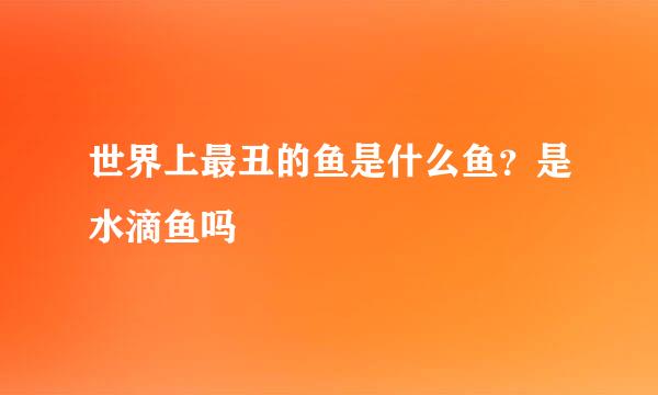 世界上最丑的鱼是什么鱼？是水滴鱼吗