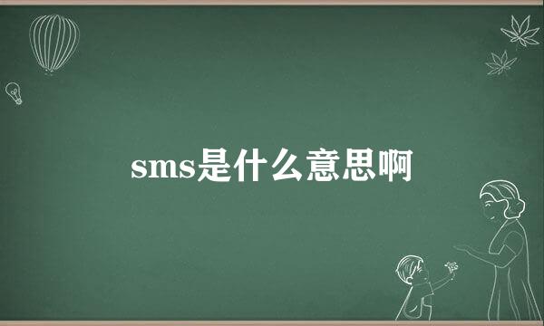 sms是什么意思啊