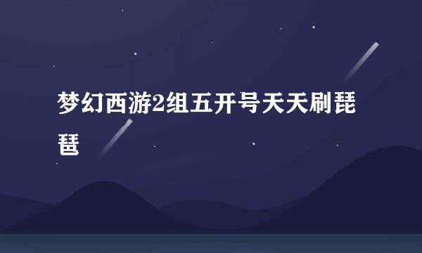 梦幻西游2组五开号天天刷琵琶