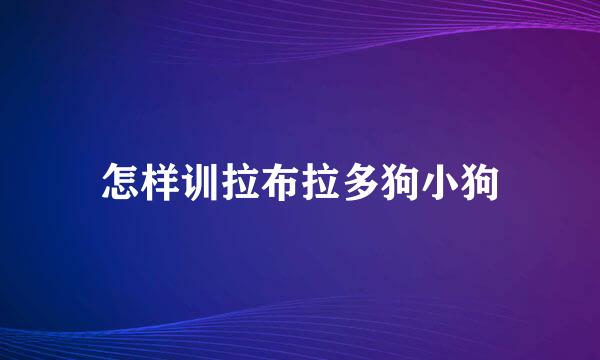 怎样训拉布拉多狗小狗