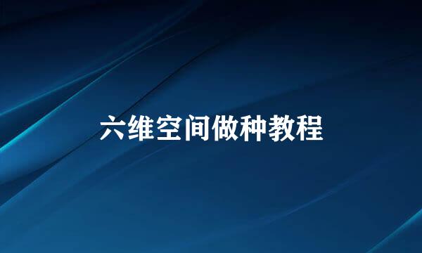 六维空间做种教程