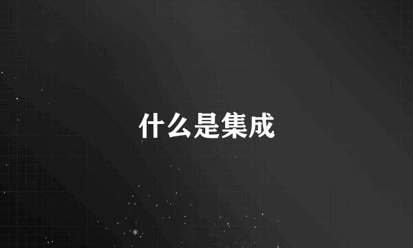 什么是集成