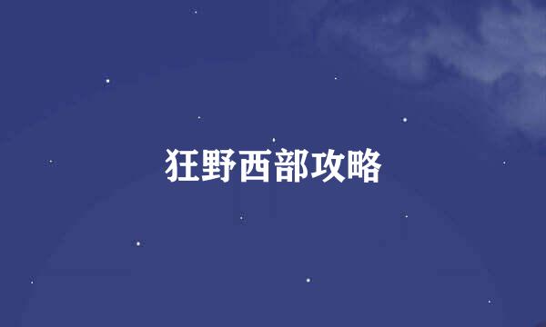 狂野西部攻略