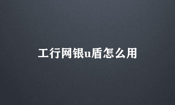 工行网银u盾怎么用