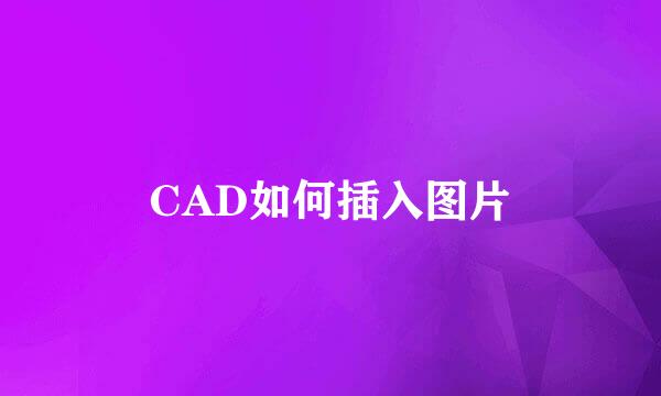 CAD如何插入图片