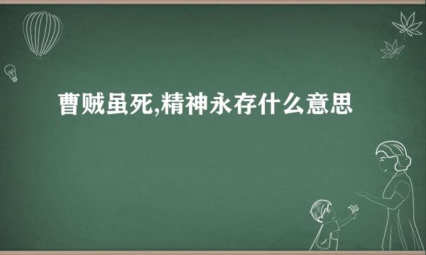 曹贼虽死,精神永存什么意思