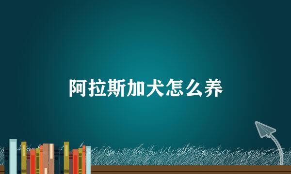 阿拉斯加犬怎么养