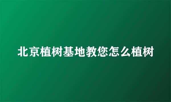 北京植树基地教您怎么植树