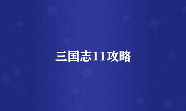 三国志11攻略