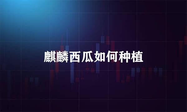 麒麟西瓜如何种植