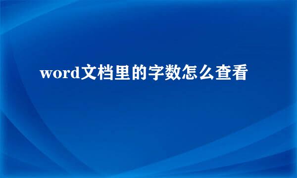 word文档里的字数怎么查看