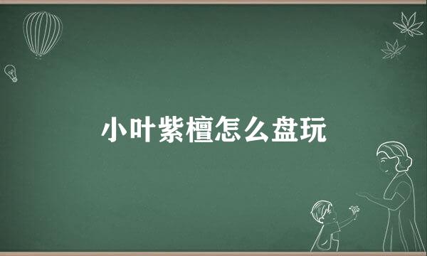小叶紫檀怎么盘玩