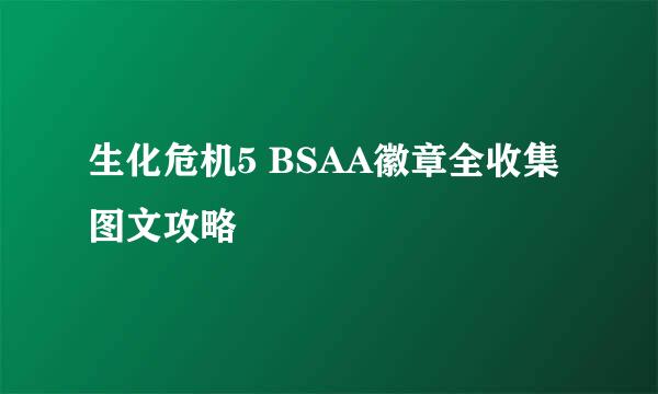 生化危机5 BSAA徽章全收集图文攻略