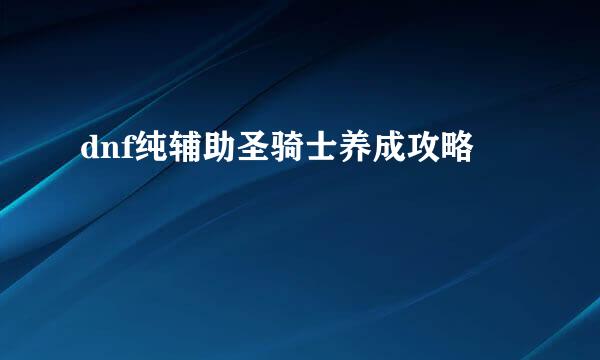 dnf纯辅助圣骑士养成攻略