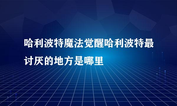 哈利波特魔法觉醒哈利波特最讨厌的地方是哪里