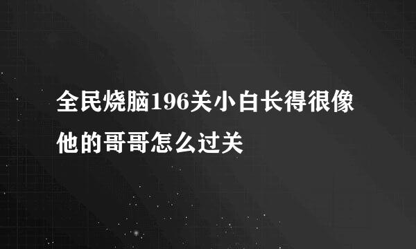 全民烧脑196关小白长得很像他的哥哥怎么过关