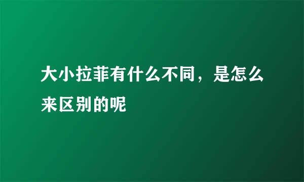 大小拉菲有什么不同，是怎么来区别的呢