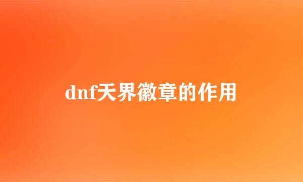 dnf天界徽章的作用