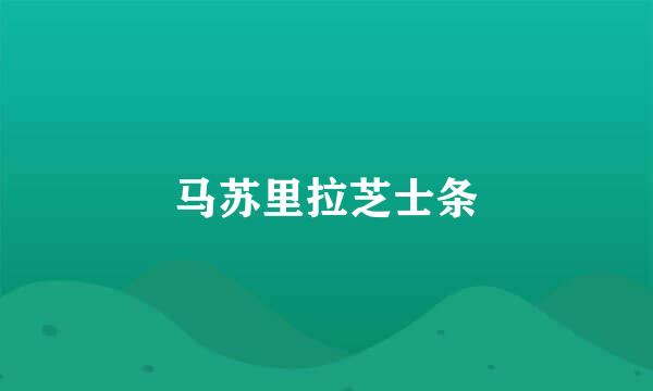 马苏里拉芝士条