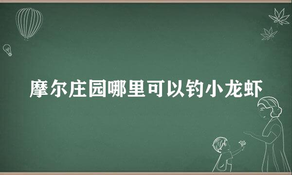 摩尔庄园哪里可以钓小龙虾
