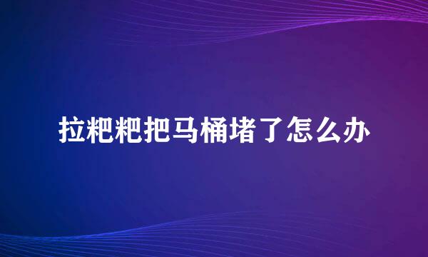 拉粑粑把马桶堵了怎么办