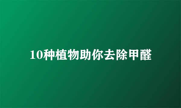 10种植物助你去除甲醛